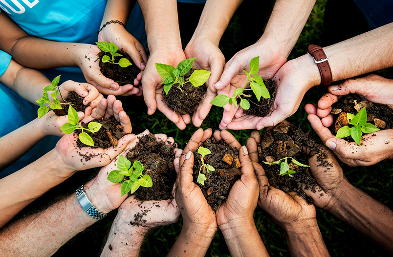 Cómo organizar voluntariados corporativos