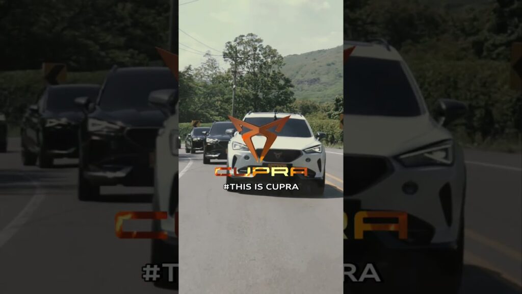 Primer Rodada Cupra | Los Coches 